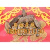 優(yōu)質(zhì)原生態(tài)野生血芝，【熱銷】南寧市好用的野生血靈芝