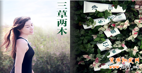 可以借鑒的十大小而美網(wǎng)店！