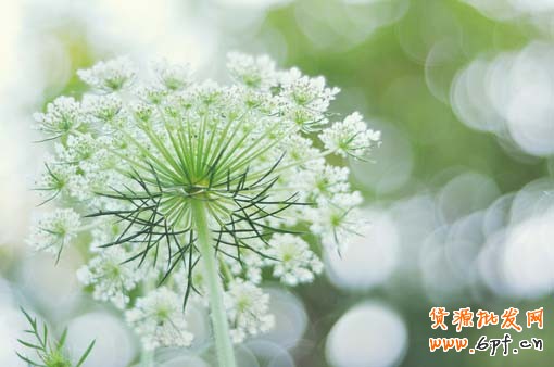 微信營(yíng)銷(xiāo)