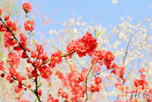 微信營(yíng)銷(xiāo)