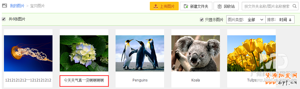 淘寶圖片空間
