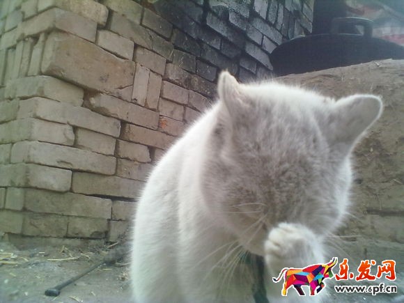 淘寶開店主關鍵詞排名下降怎么救？