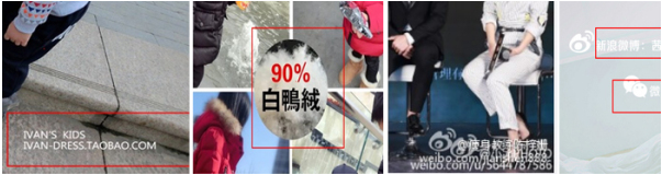 紅人圈