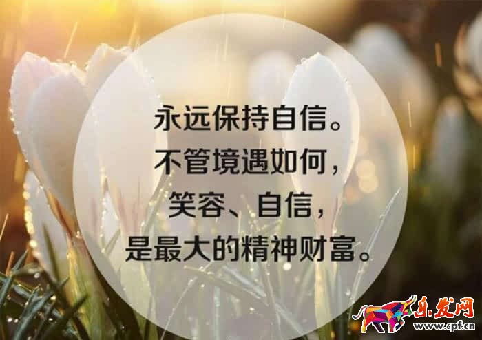 微信營(yíng)銷