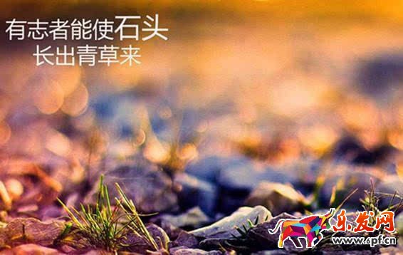 微信營(yíng)銷