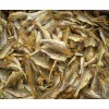 鄭州專業的海產品批發_漯河干海產品