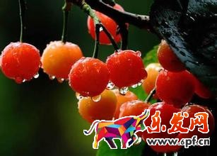 淘寶規則