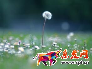 淘寶經(jīng)驗