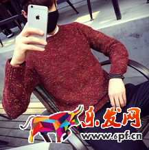 新手直通車(chē)入門(mén)寶典 新手直通車(chē)入門(mén)寶典