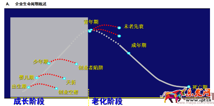 四步讓你掌握數據運營的核心之四率運營! 四步讓你掌握數據運營的核心之四率運營!