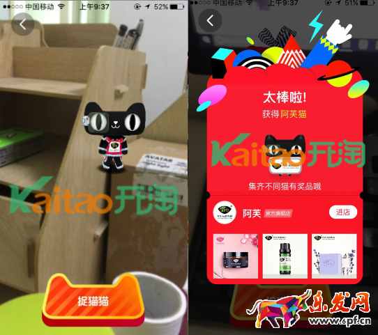 尋找狂歡貓