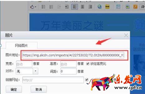 寶貝優化