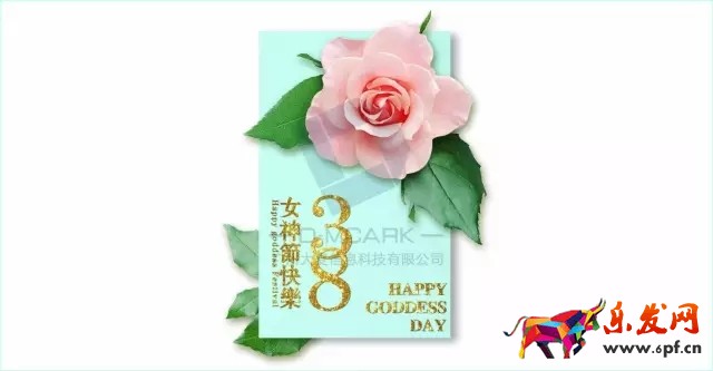 38天貓女王節
