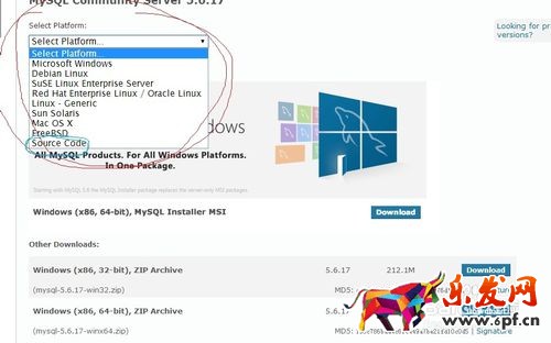 MySQL下載安裝、配置與使用（win7x64）