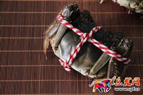 淘寶主圖手機(jī)拍攝技巧 淘寶主圖手機(jī)拍攝技巧