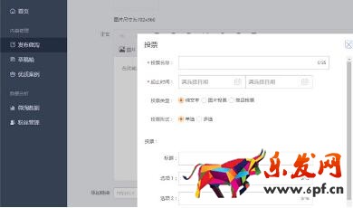 雙十一