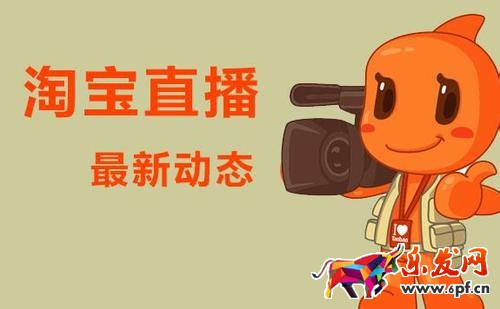 雙十一主播天團(tuán)活動(dòng)的要求