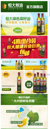 淘寶店鋪頁(yè)面設(shè)計(jì) 淘寶店鋪頁(yè)面設(shè)計(jì)