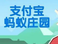 螞蟻莊園怎么防止搶食？支付寶螞蟻莊園怎么養(yǎng)小雞？