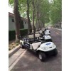 技術標準將出，鋰電化大勢所趨，四輪低速電動觀光車等需升級轉型