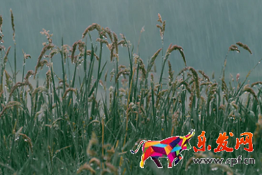 淘寶開店流量和地理位置有關(guān)系嗎.png